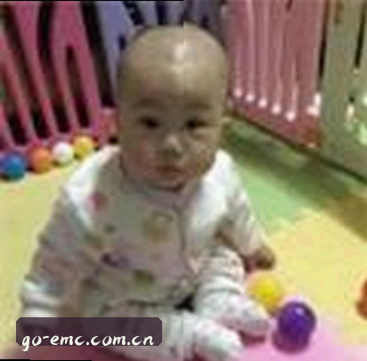 陈磊